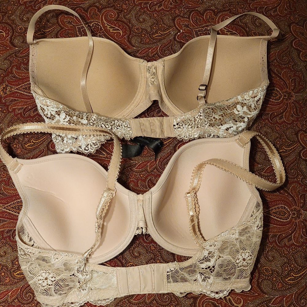 Wacoal Cream Lace-Trim T-Shirt Bras Duo - Picture 2 of 5